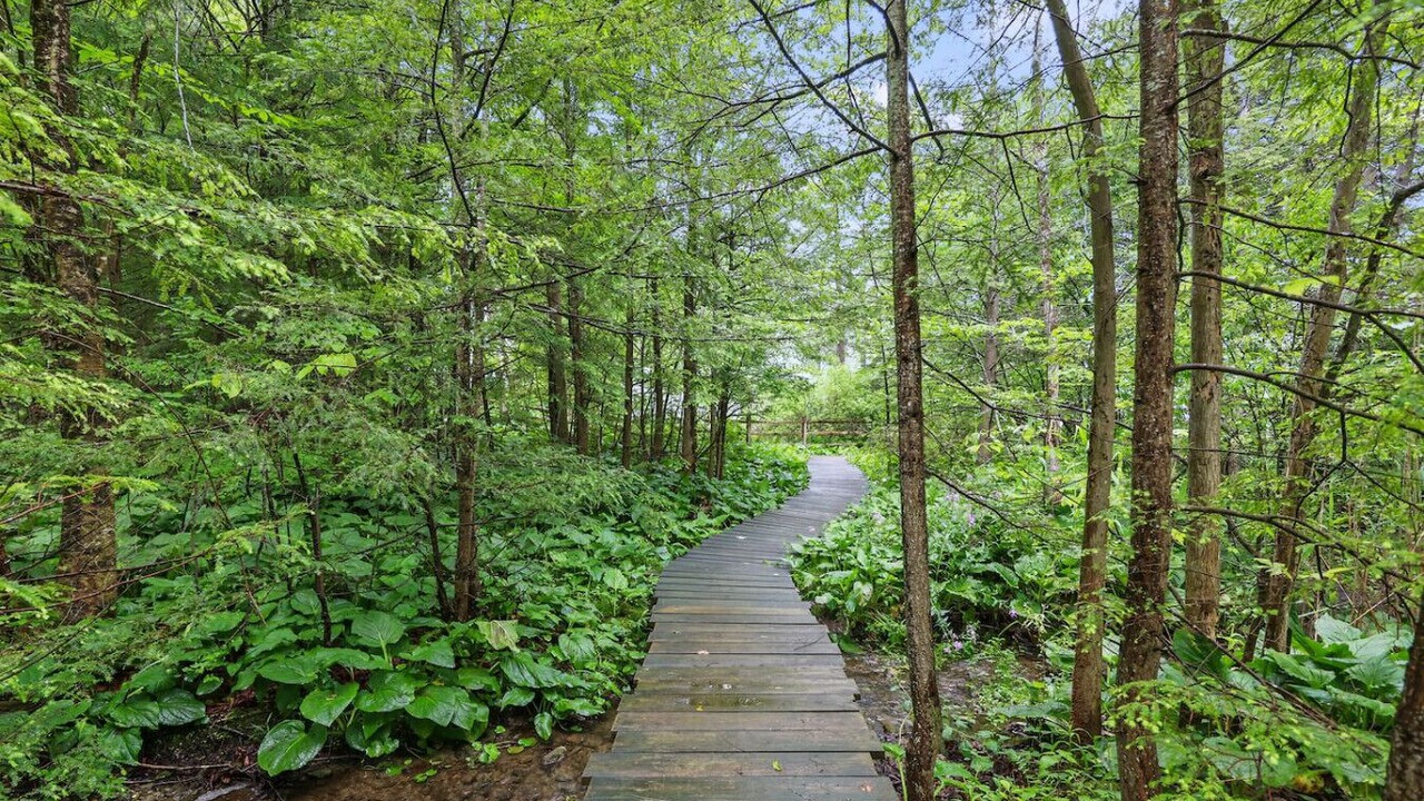 Photo of Others in Richmond