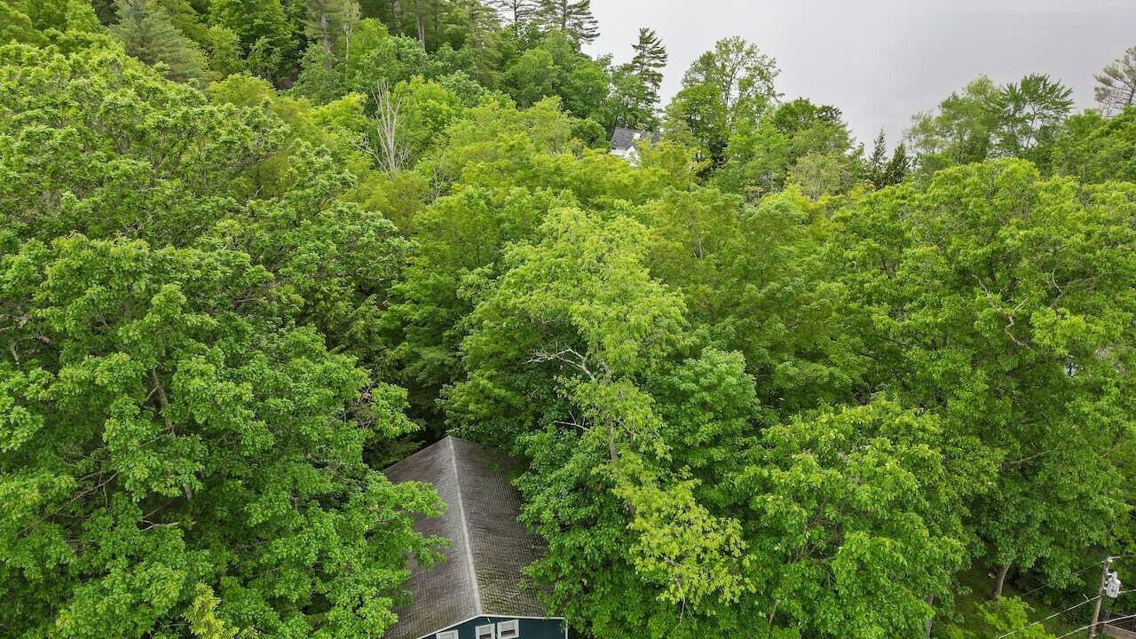 Photo of Others in Richmond