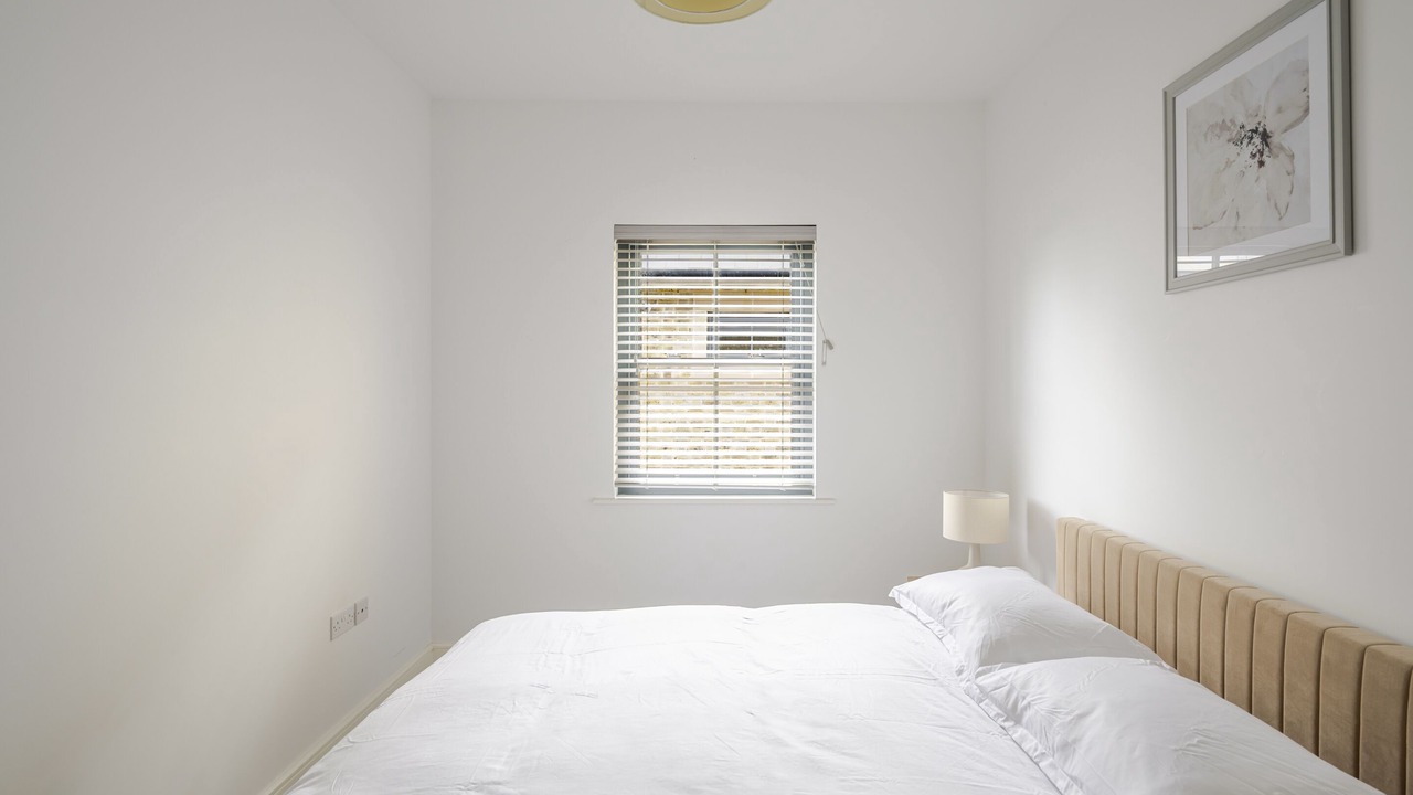 Photo of Others in Chelmsford