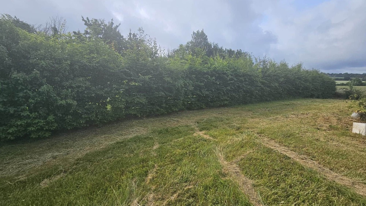 Photo of Others in La Mesniere