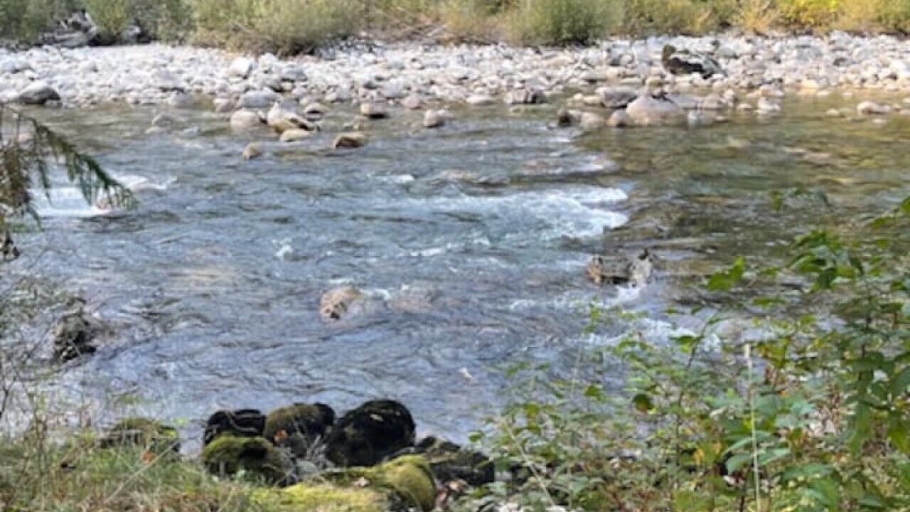 Photo of Others in Marblemount