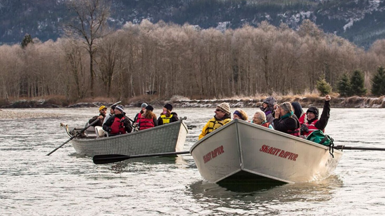 Photo of Others in Marblemount