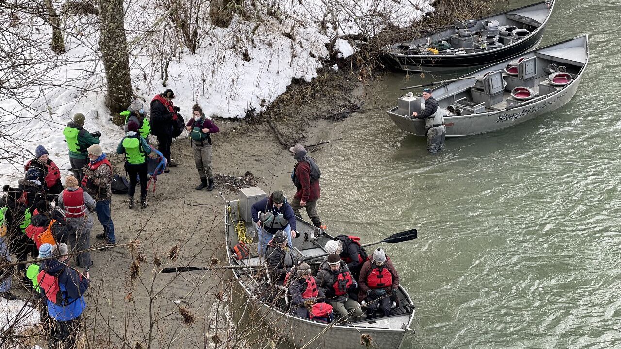 Photo of Others in Marblemount