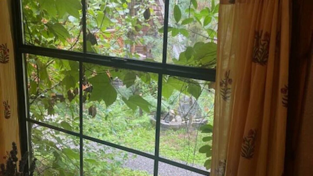 Photo of Others in Marblemount