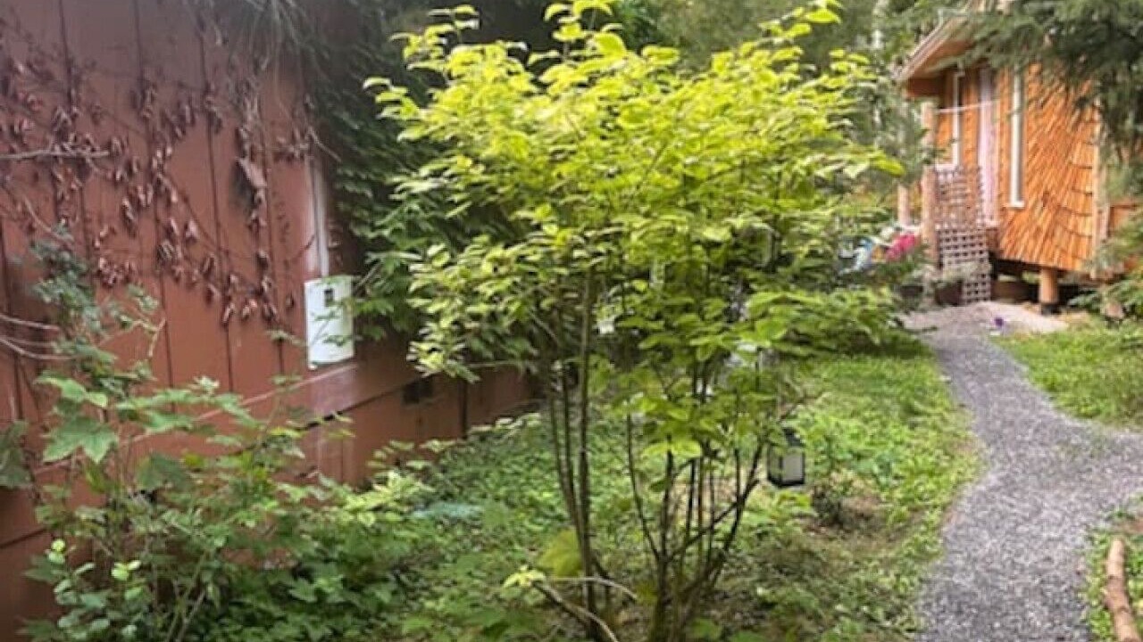 Photo of Outdoor in Marblemount