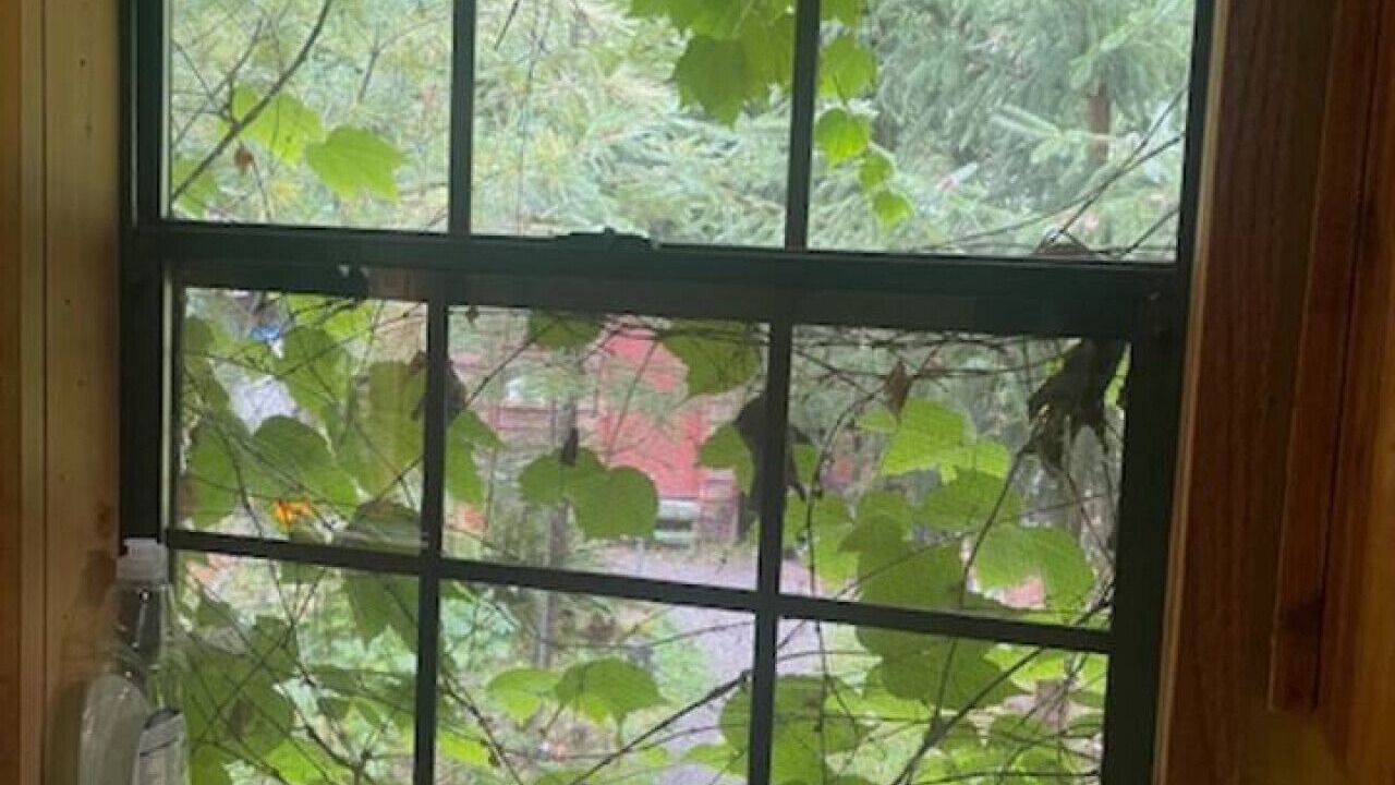 Photo of Others in Marblemount