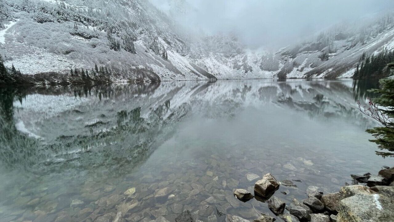 Photo of Others in Marblemount