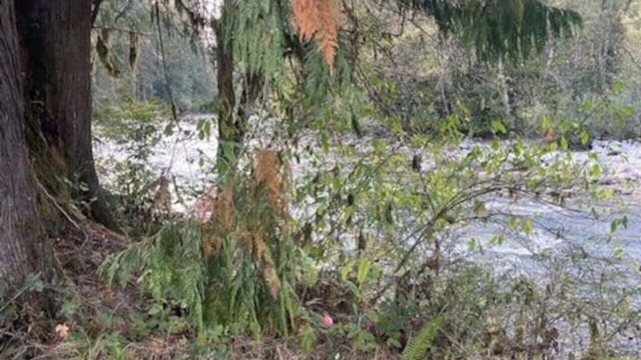 Photo of Others in Marblemount