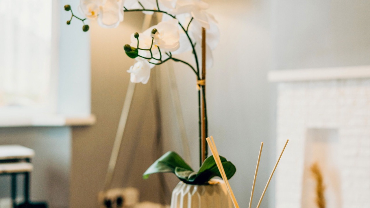 Photo of Others in Warmsworth