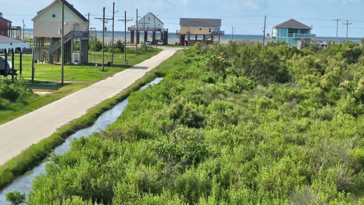 Photo of Others in Gilchrist