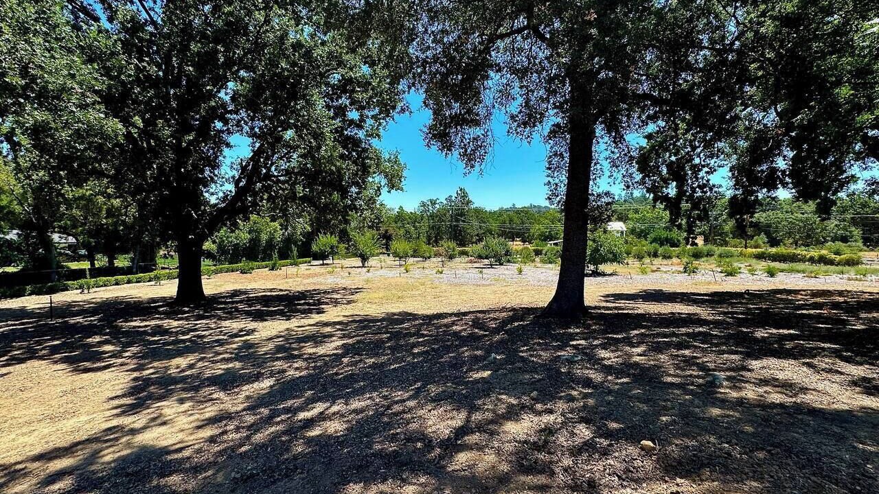 Photo of Others in Placerville
