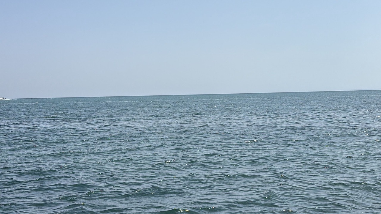 Photo of Others in San Fulgencio