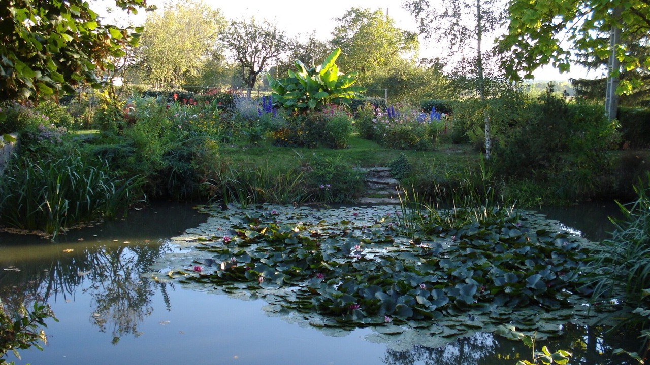Photo of Outdoor in Faverolles