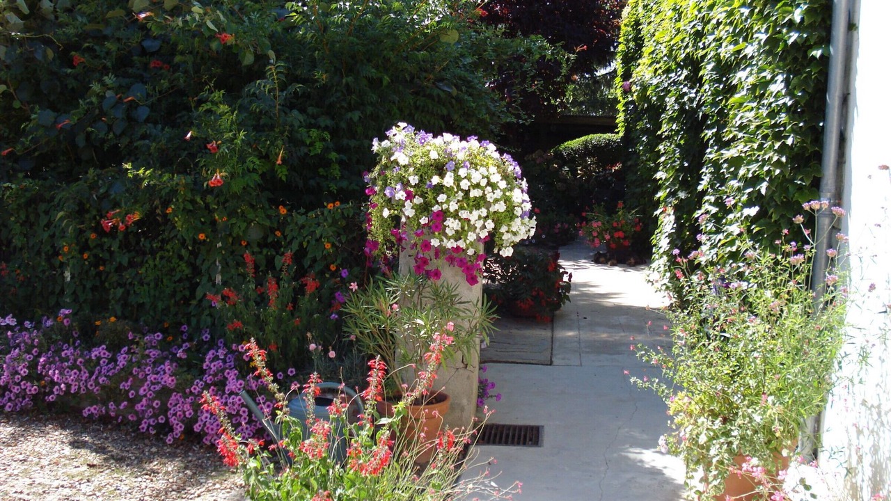 Photo of Outdoor in Faverolles