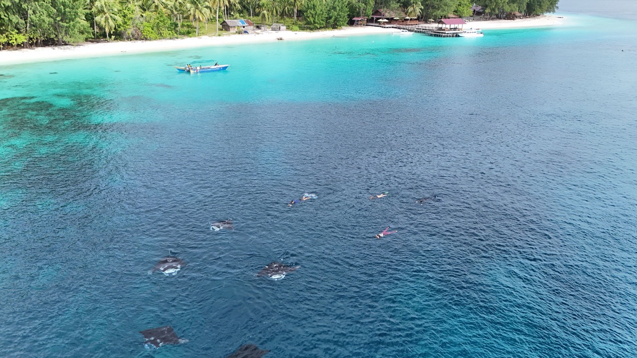 Photo of Outdoor in Raja Ampat