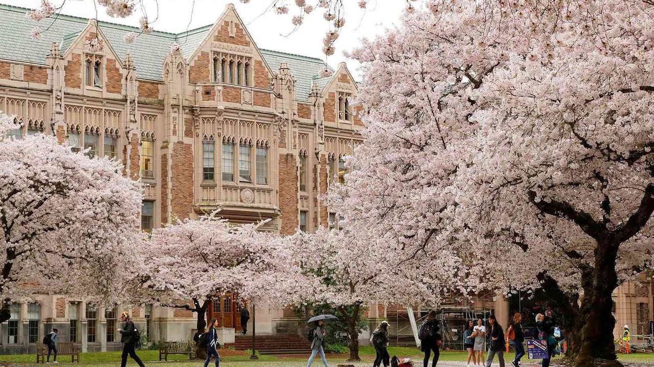 Photo of Others in Northgate