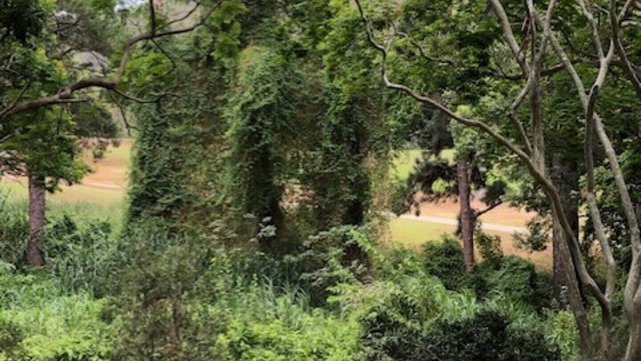 Photo of Others in The Gap