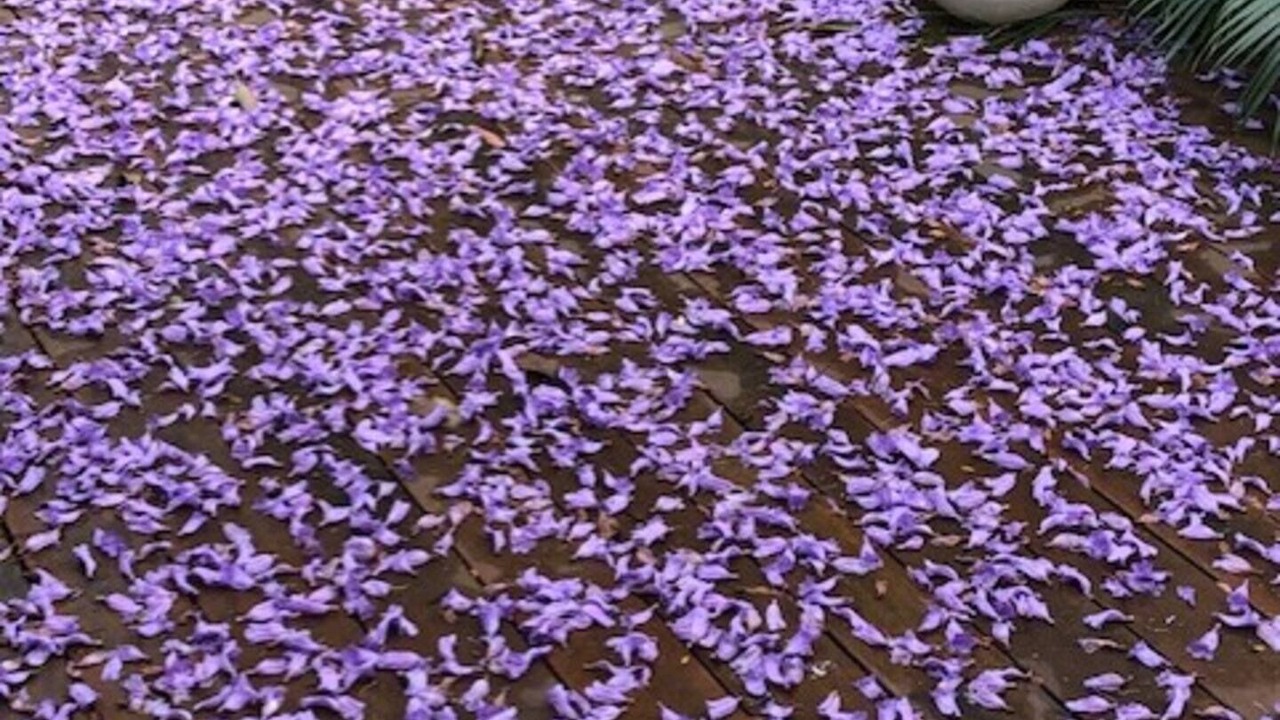 Photo of Outdoor in The Gap