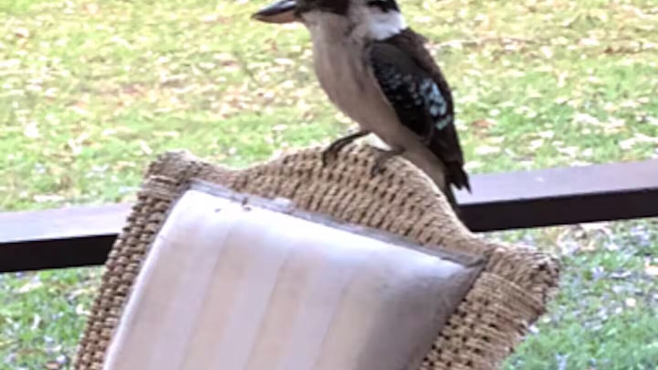 Photo of Outdoor in The Gap