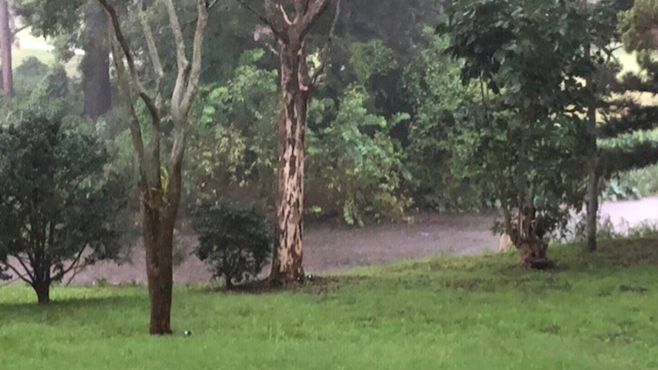 Photo of Others in The Gap