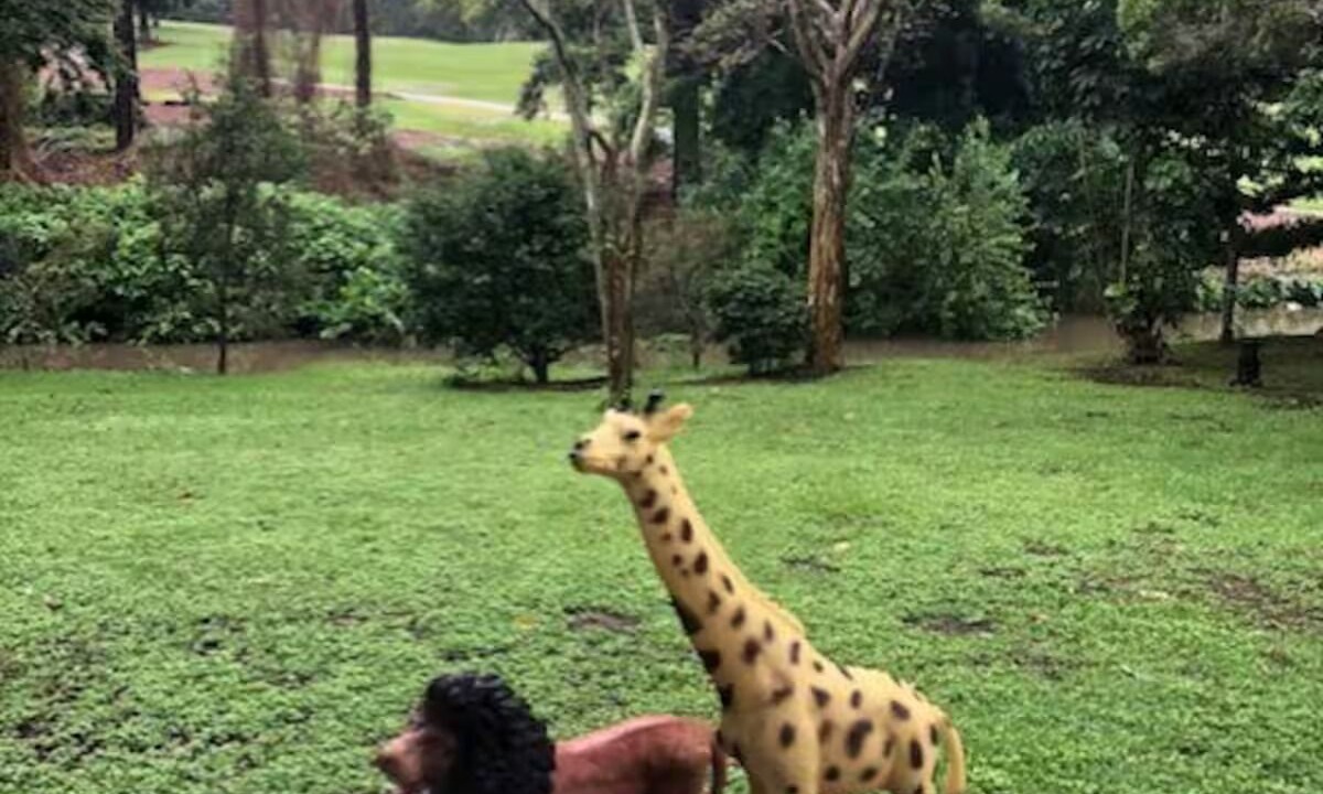 Photo of Others in The Gap