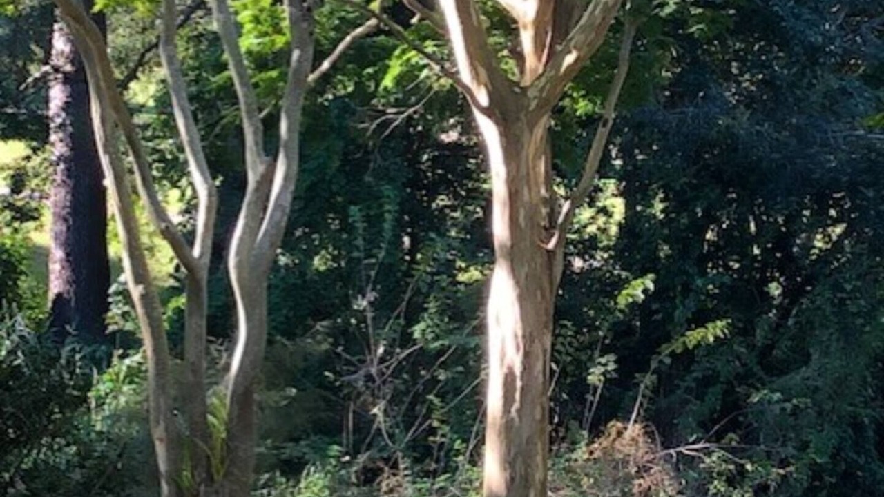 Photo of Others in The Gap