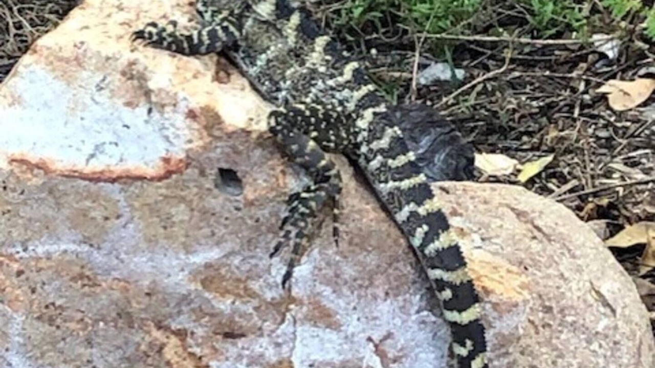 Photo of Others in The Gap