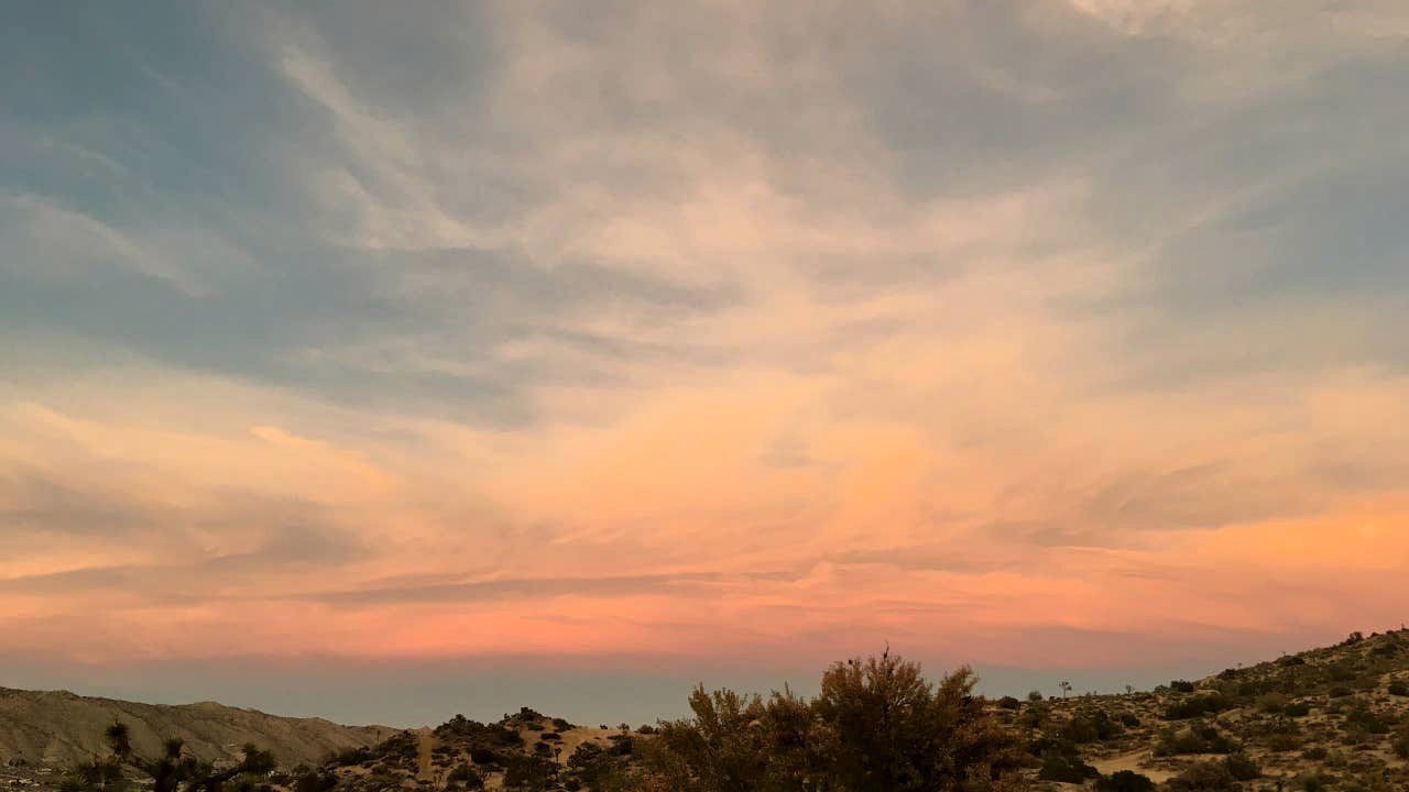 Photo of Others in Yucca Valley