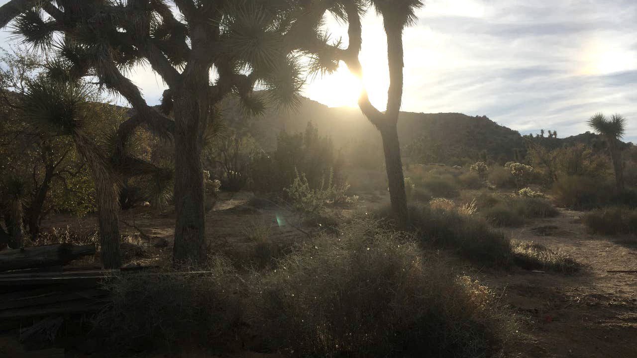 Photo of Others in Yucca Valley