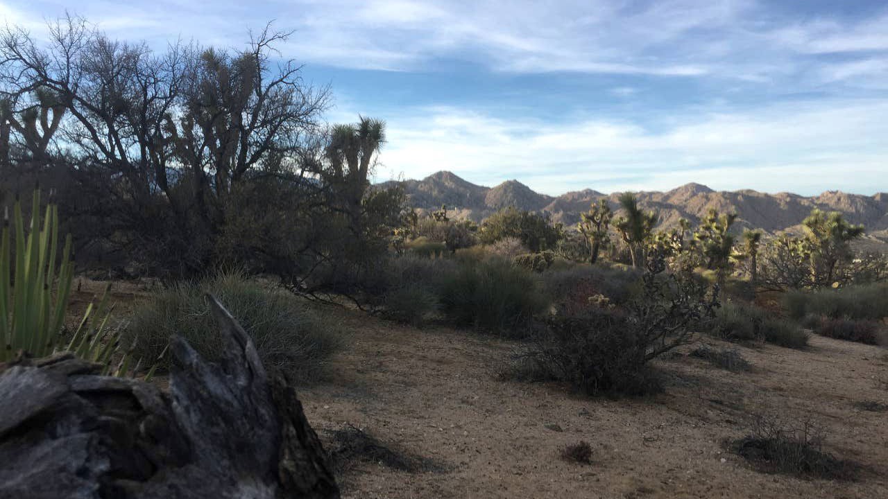 Photo of Others in Yucca Valley
