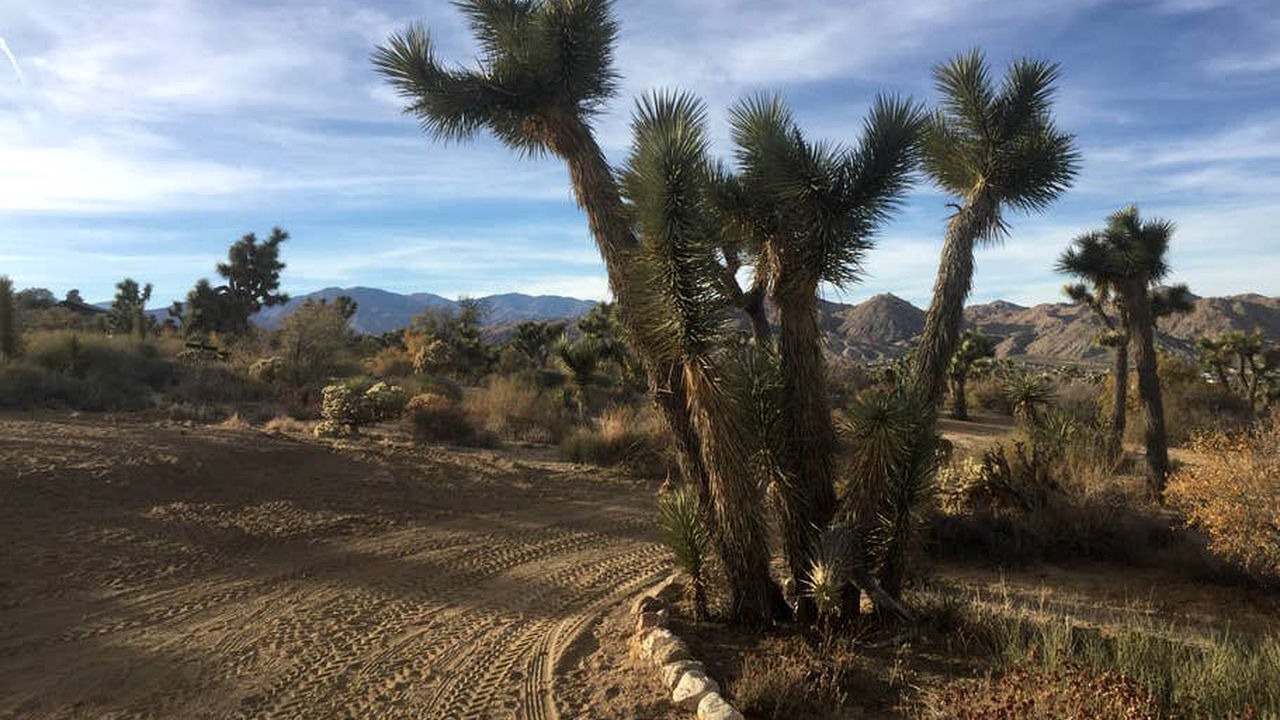 Photo of Others in Yucca Valley