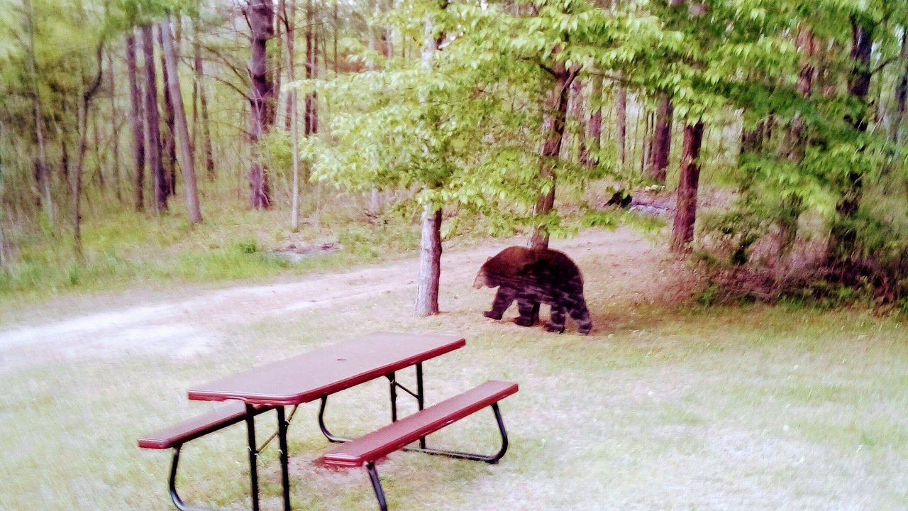 Photo of Outdoor in Frontier