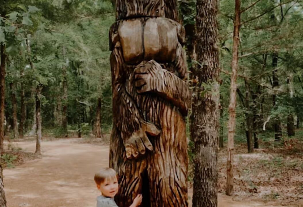 Photo of Others in Valley View