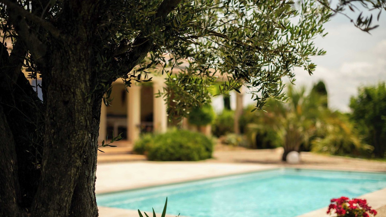 Photo of Outdoor in Carcassonne