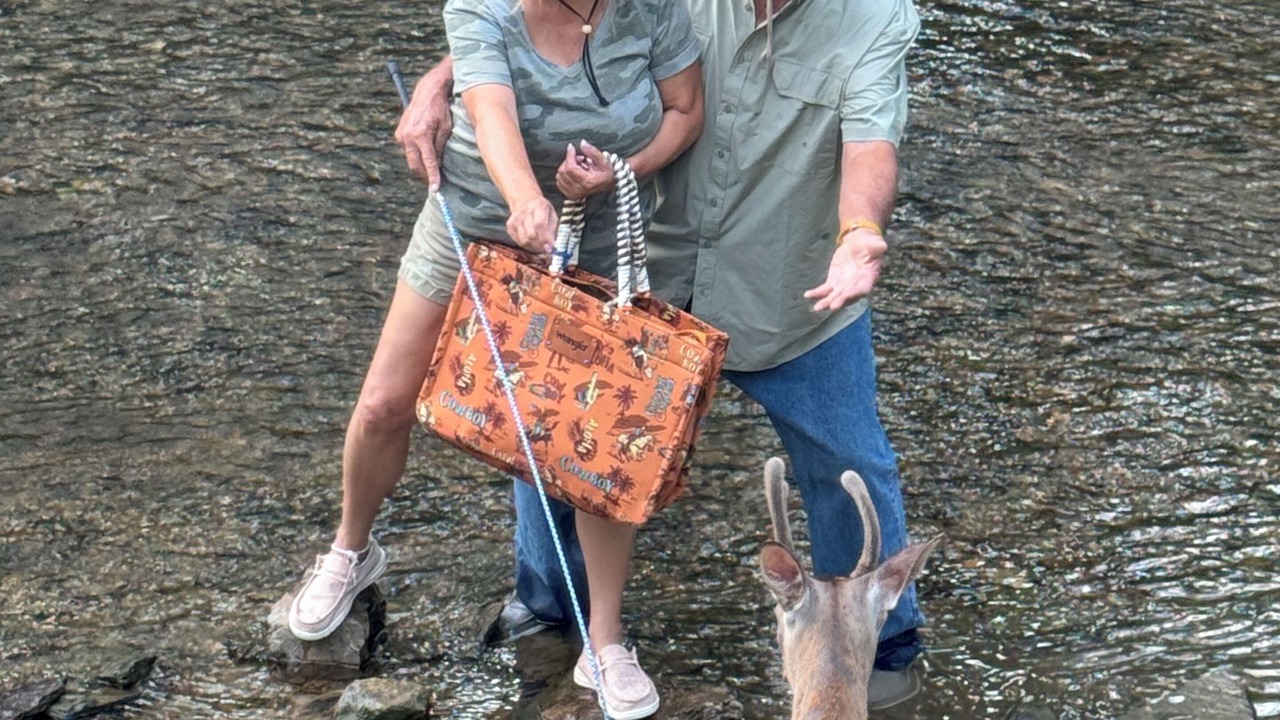 Photo of Others in Rogersville