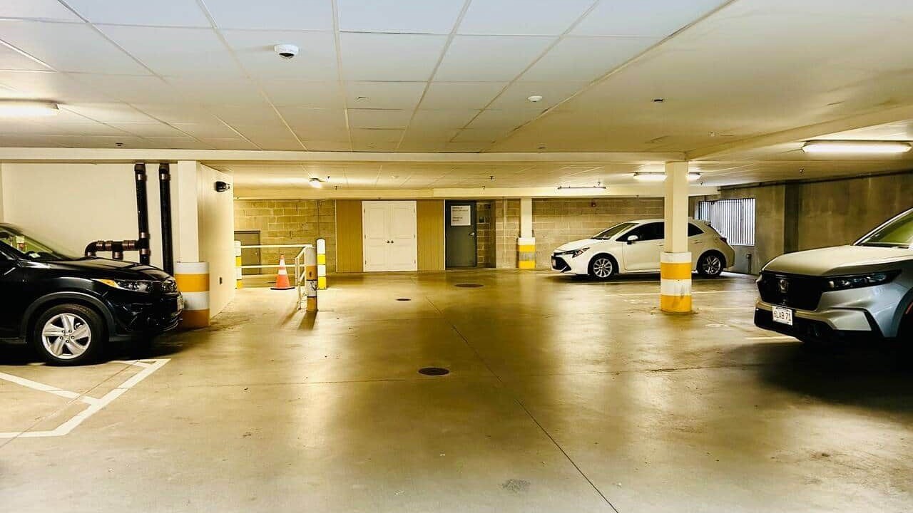 Photo of Outdoor in Cambridgeport