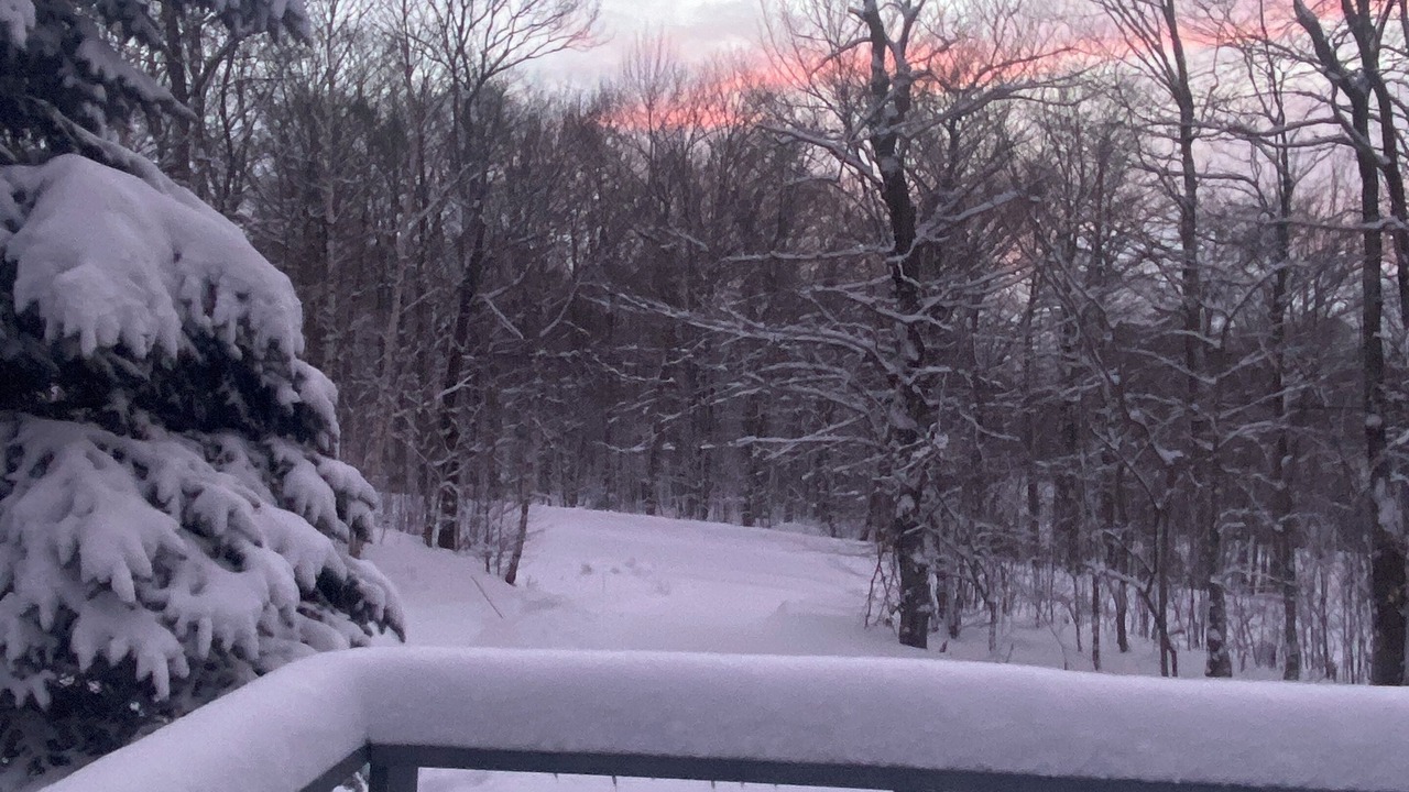 Photo of Outdoor in Wilmington