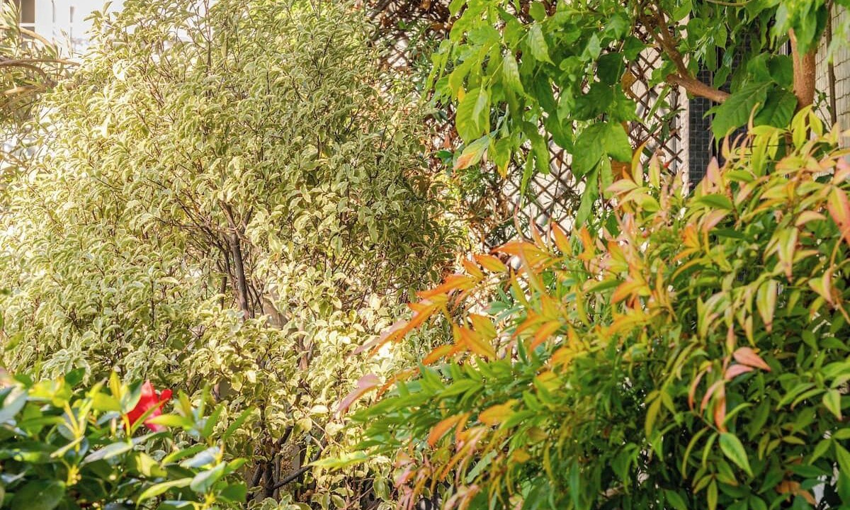 Photo of Outdoor in Grenelle