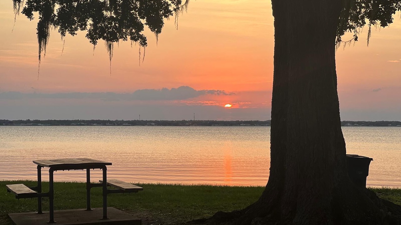 Photo of Others in Sebring