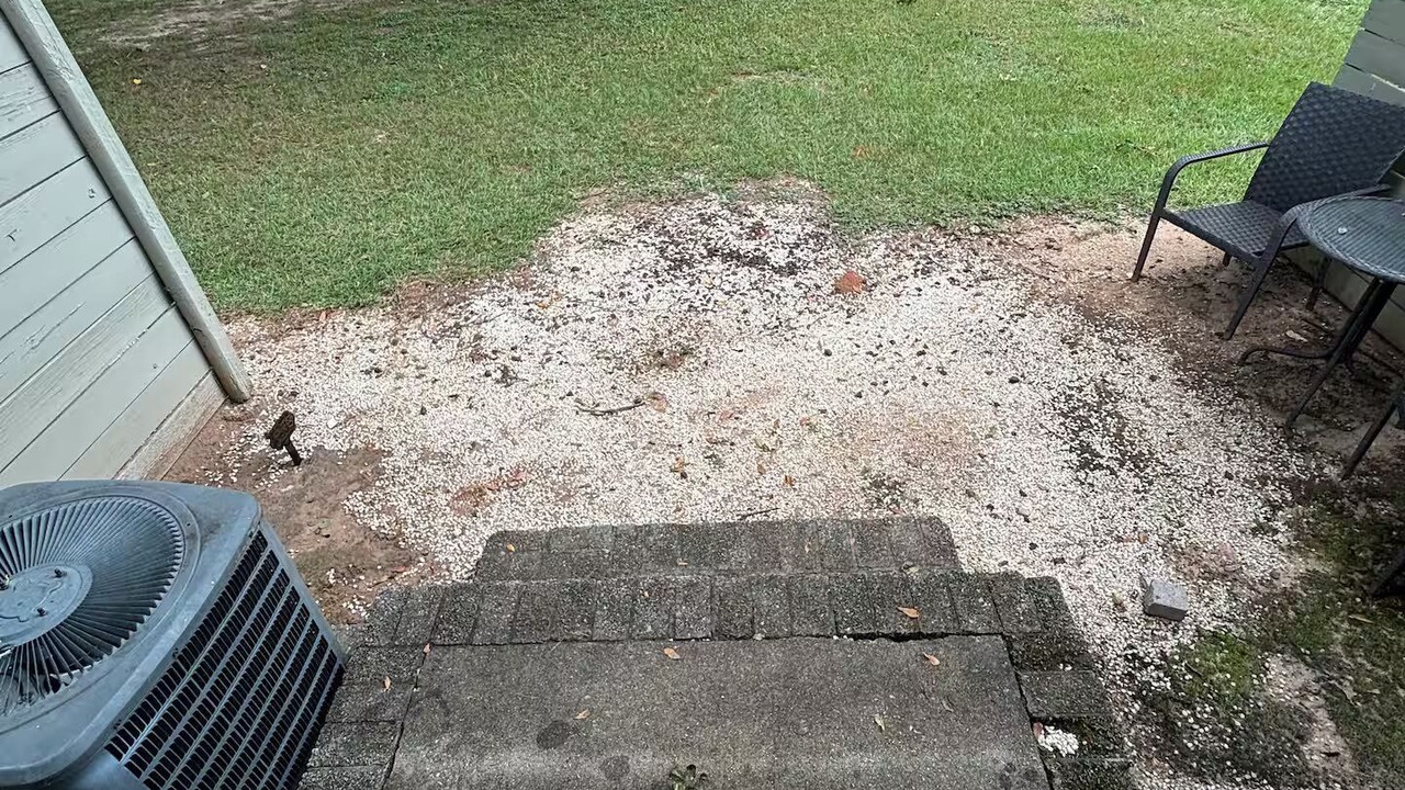Photo of Outdoor in Earlewood