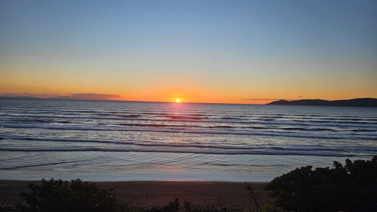 Photo of Others in Raumati South