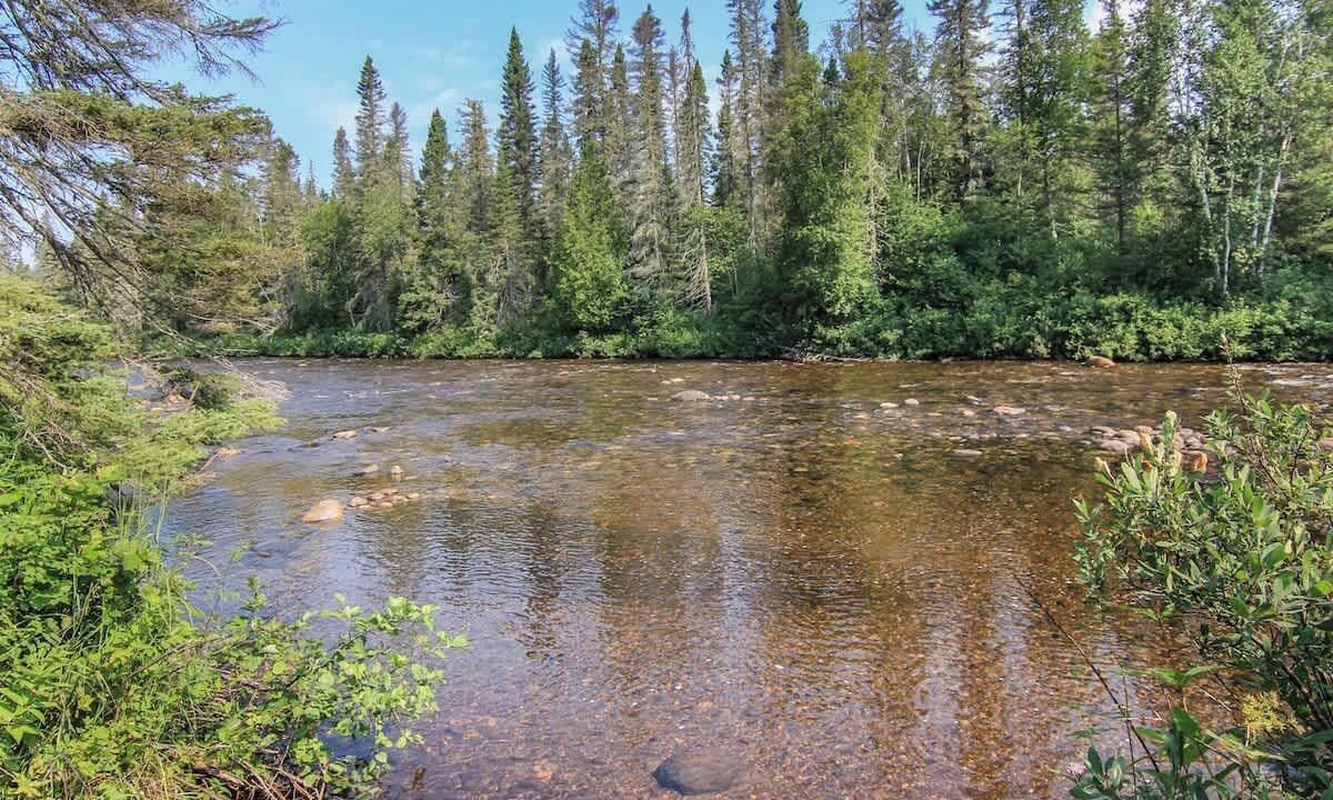 Photo of Others in Saint-David-de-Falardeau