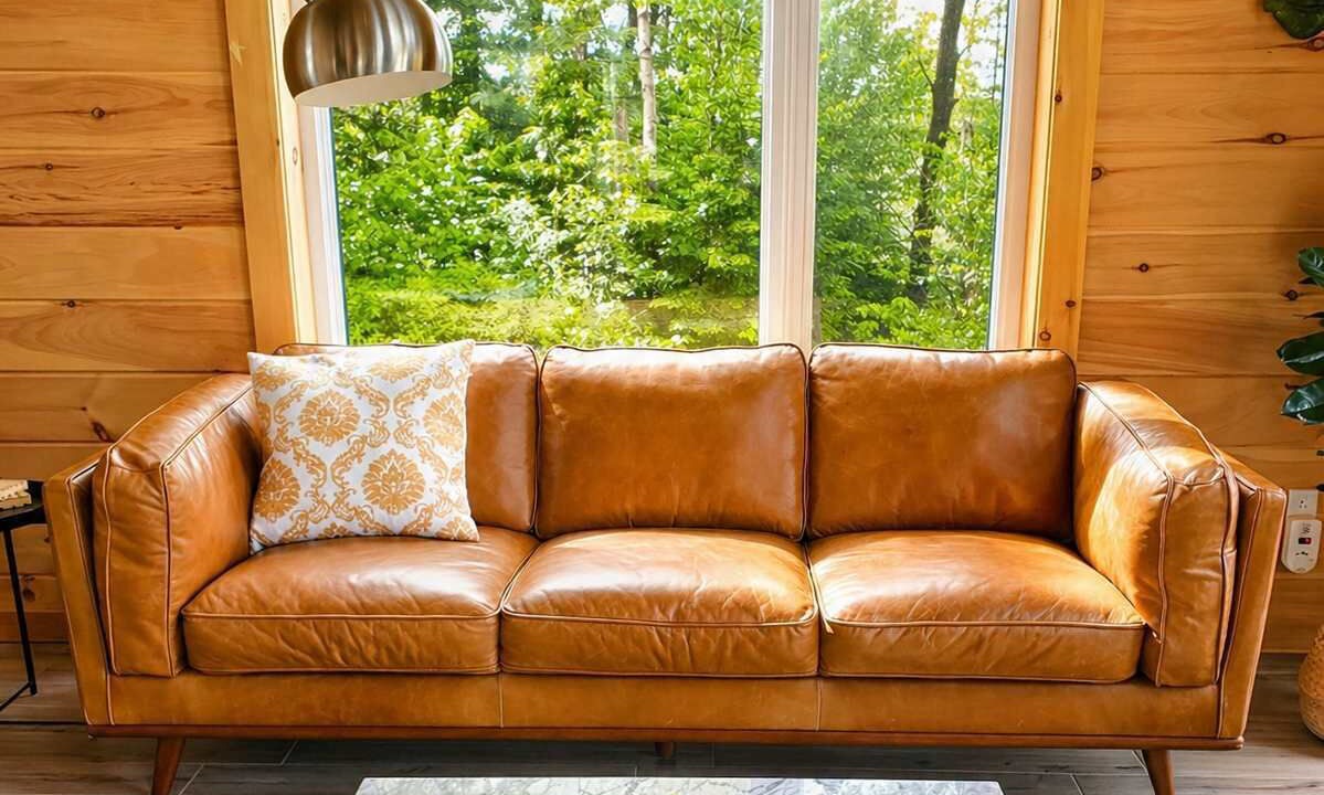 Photo of Livingroom in Saint-David-de-Falardeau