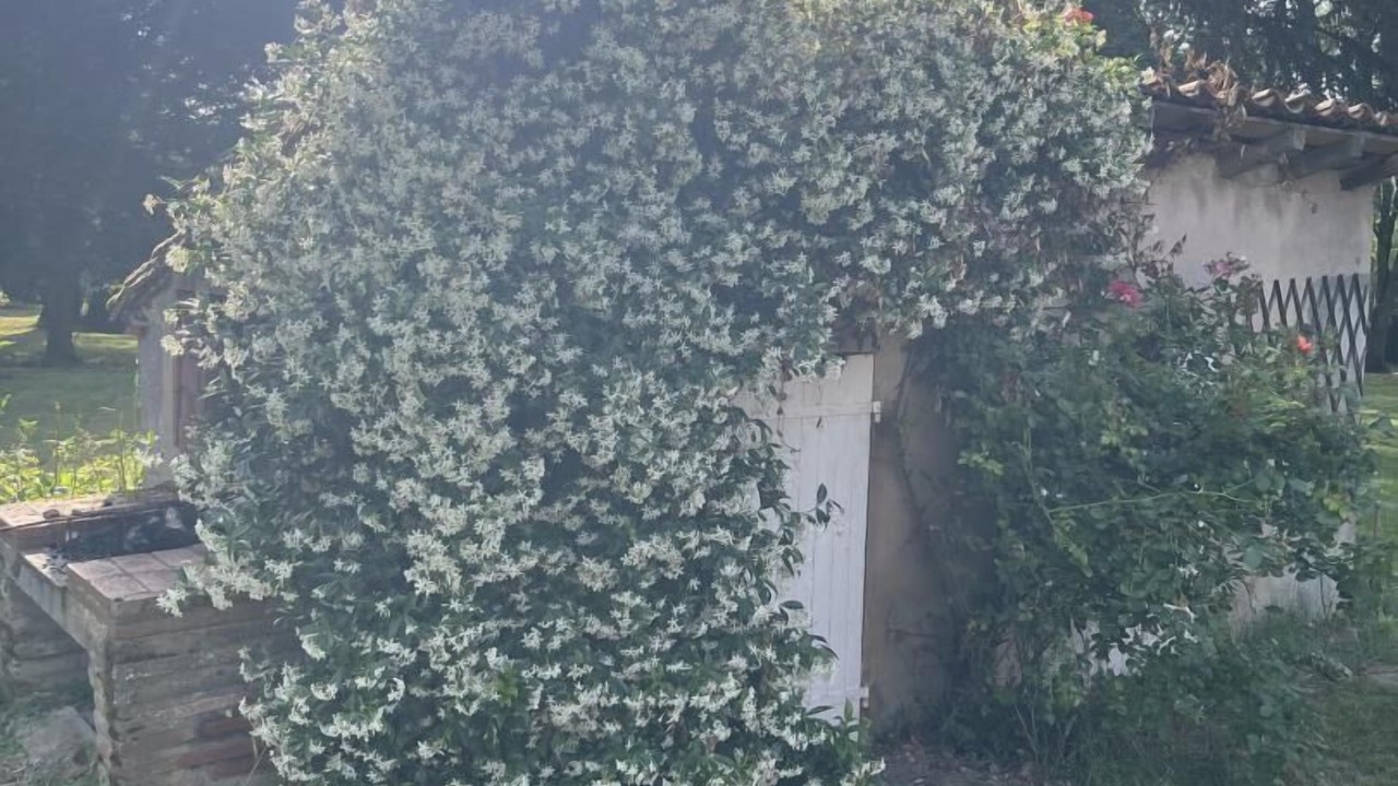 Photo of Outdoor in Beaumont-sur-Leze