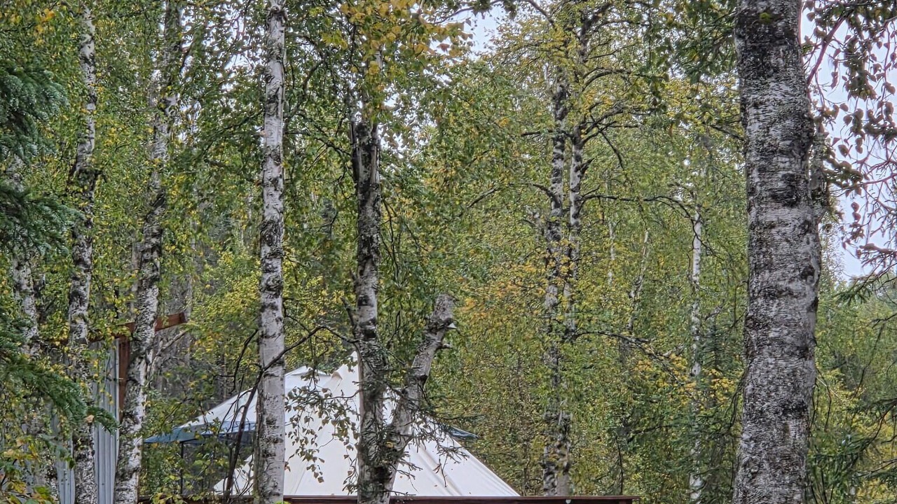 Photo of Others in Susitna North