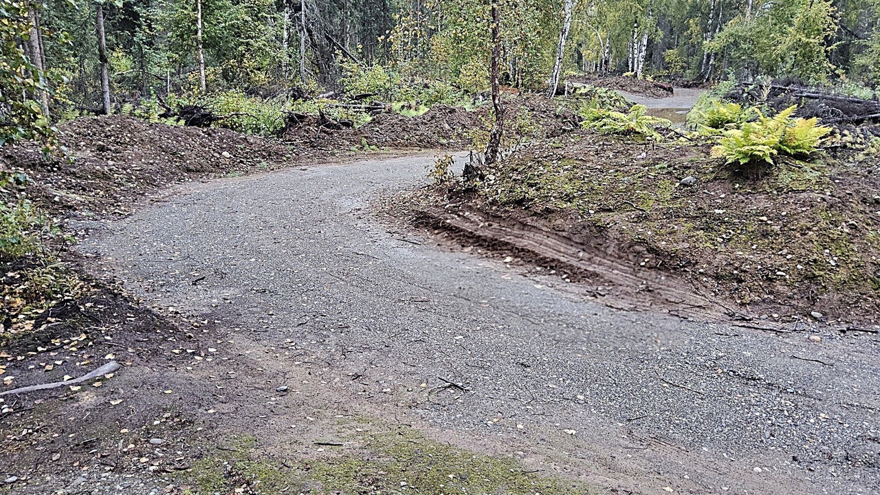 Photo of Others in Susitna North