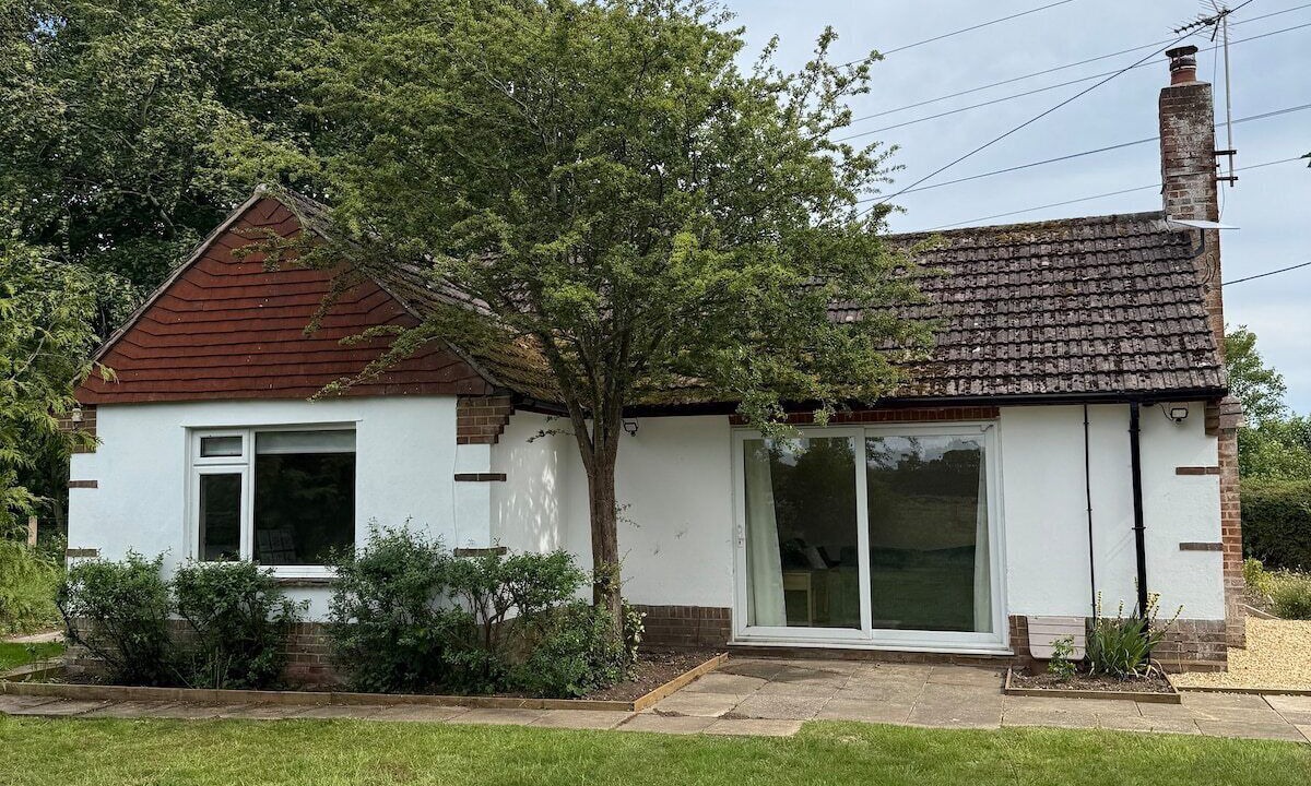 Photo of Outdoor in New Forest District