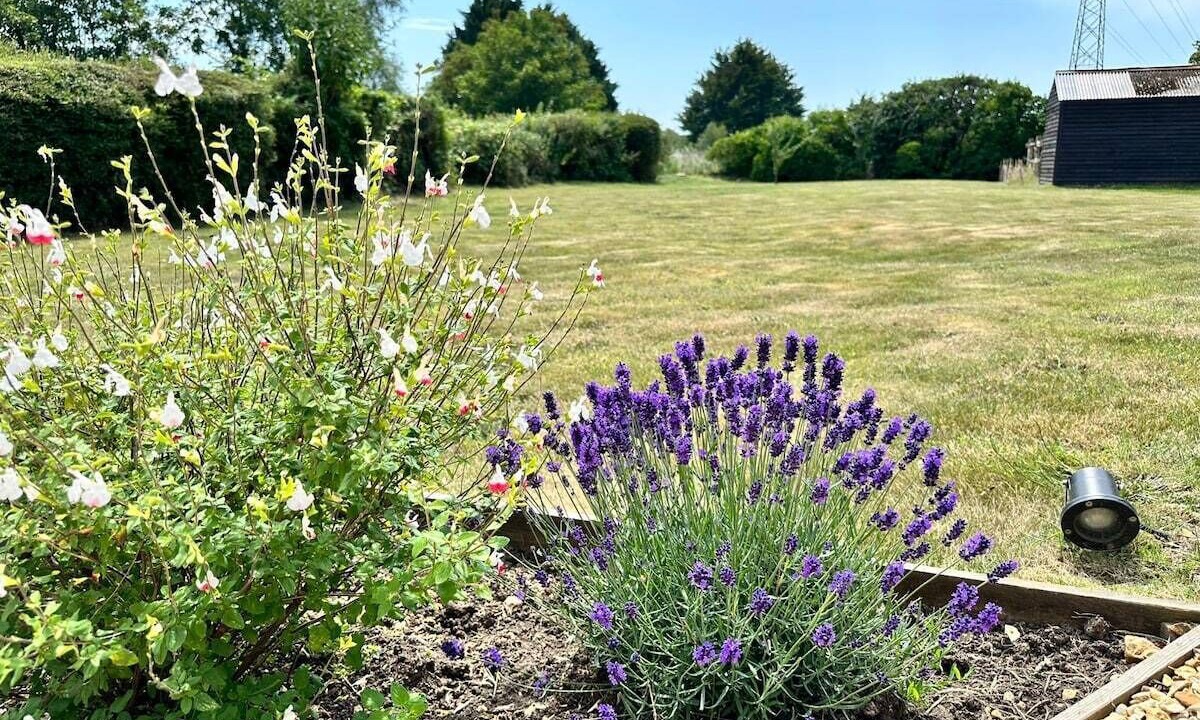 Photo of Outdoor in New Forest District