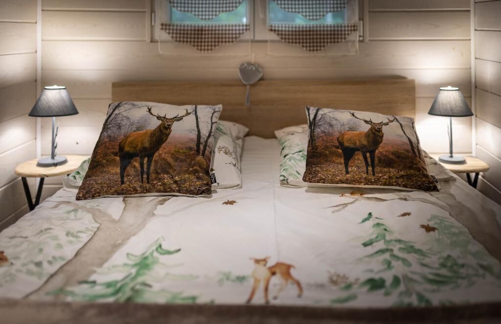 Photo of Bedroom in Renauvoid