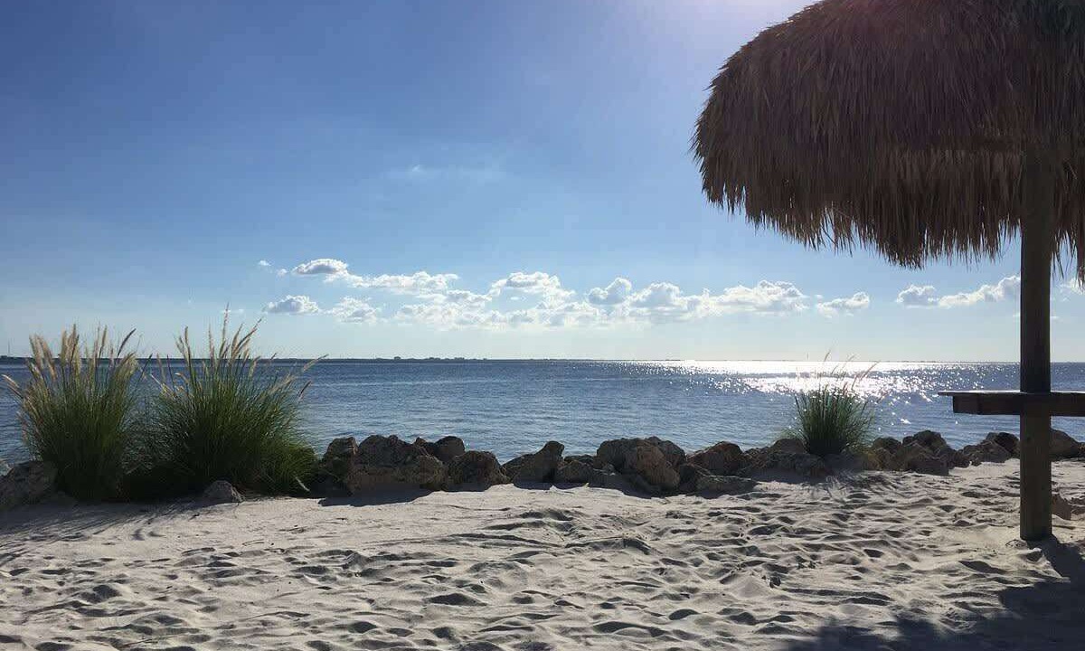 Photo of Others in Rocky Point